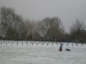 Cutteslowe Park in Winter